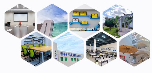 消博線報 醫藥黑科技、珍稀祖母綠與人工智能軟件齊聚，引領消費新浪潮